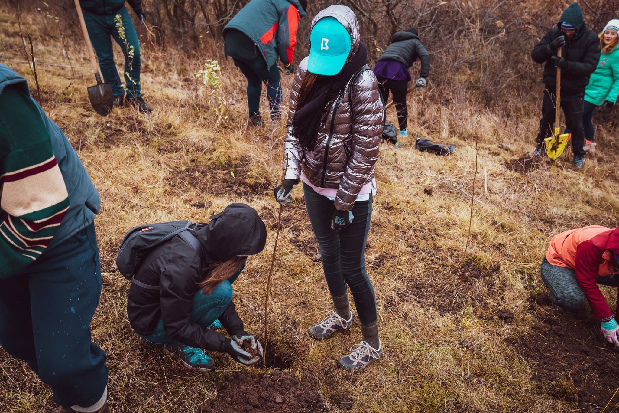 3000 Trees Planted within The BRAND MINDS Forest Project