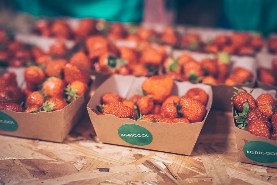 Agricool – Reinventing the Way Strawberries are Grown