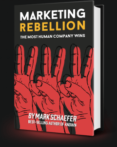 marketing-rebellion-mark-schaefer