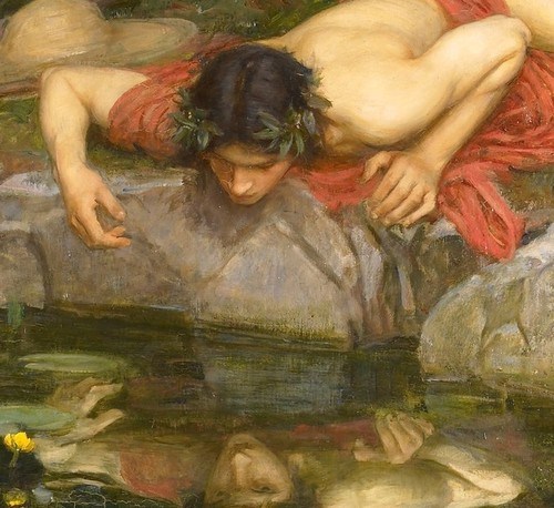 narcissus-detail