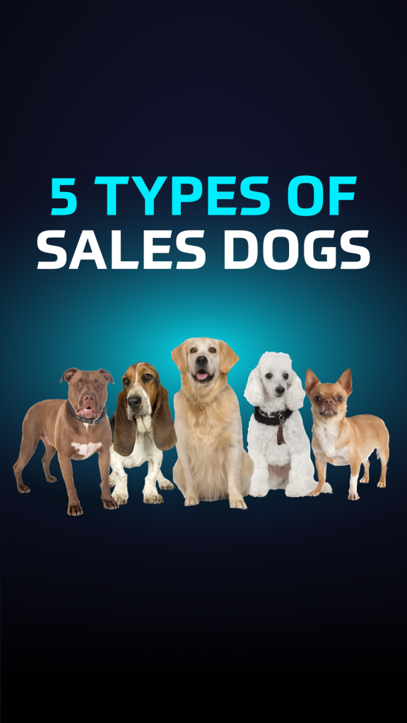 What's your Sales Dog Type BRAND MINDS